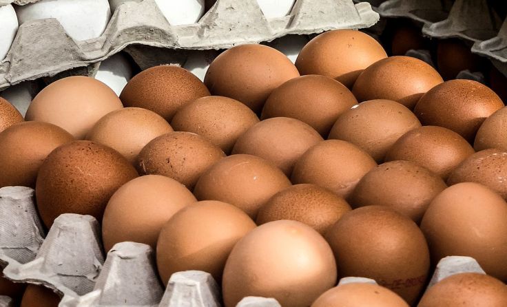 Frische und heimische Eier sind nicht belastet. Symbolfoto: Volker Weihbold