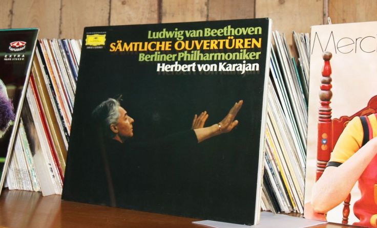 Auch viele Musikalien finden sich unter der angebotenen Flohmarktware. Foto: Arge für Obdachlose