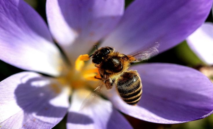 Die Natur kann mit allen Sinnen erlebt werden. Foto: Volker Weihbold