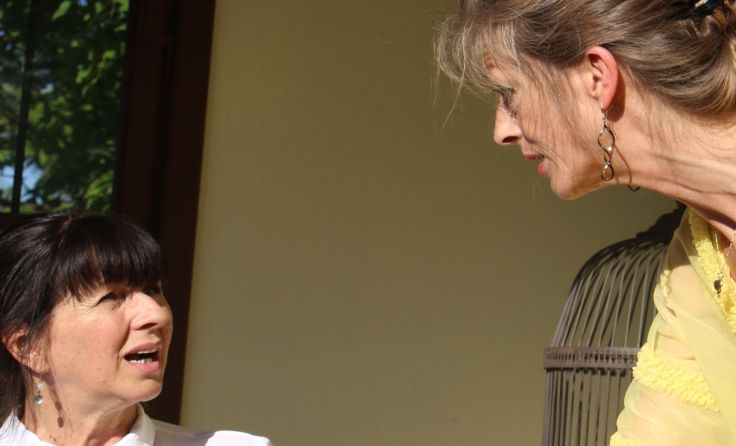 "Was geschah wirklich mit Baby Jane?" wird vom Linzer Theaterclub gezeigt. Foto: LTC