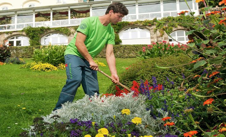 Der Maschinenring sorgt für einen gepflegten Garten. Foto: Maschinenring