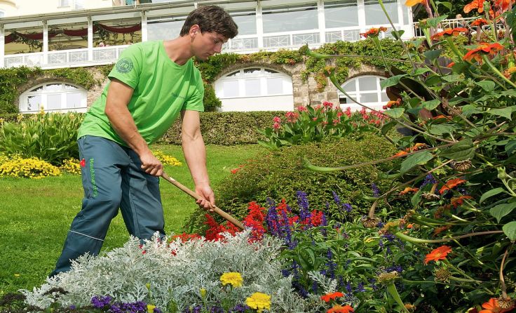 Der Maschinenring sorgt für einen gepflegten Garten. Foto: Maschinenring