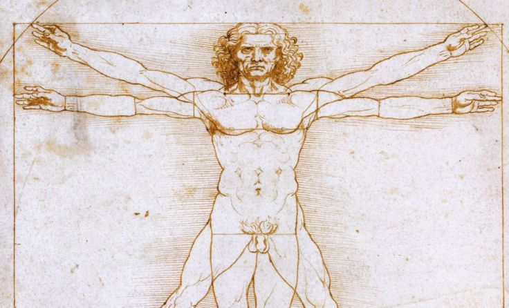 Da Vincis "Vitruvianischer Mensch" Foto: Scala Archives, Florenz