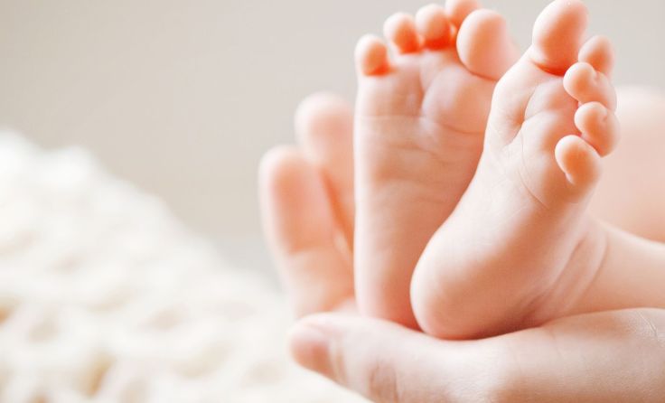 Foto: Liudmila Fadzeyeva/Shutterstock.com