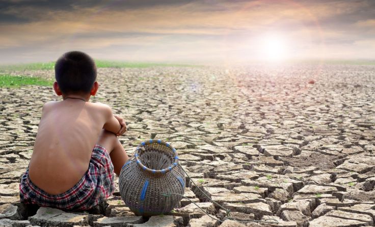Der Klimawandel ist allgegenwärtig. Foto: Alohaflaminggo/Shutterstock.com