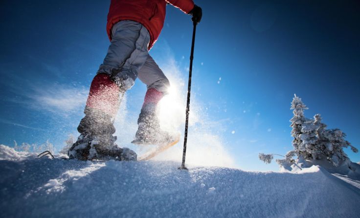  (Foto: My Good Images/Shutterstock.com)