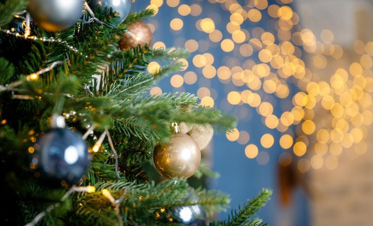  (Foto: SDammer/Shutterstock.com)