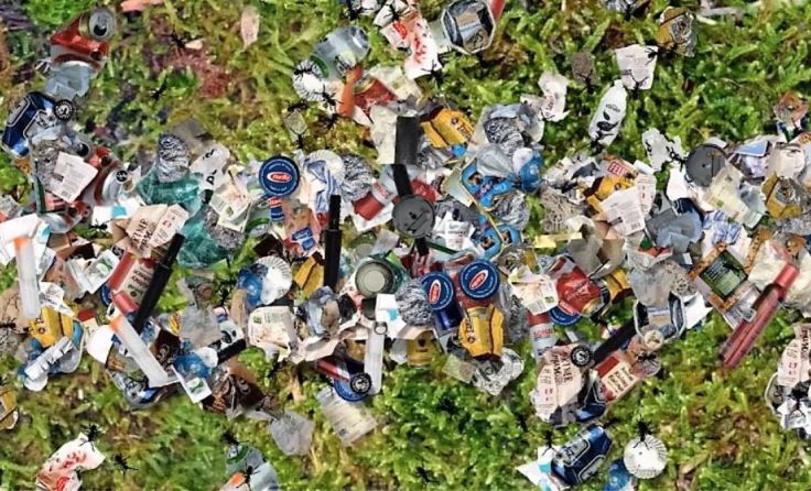 "Scavengers" von Christa Sommerer und Laurent Mignonneau (Foto: Mignonneau, Sommerer)