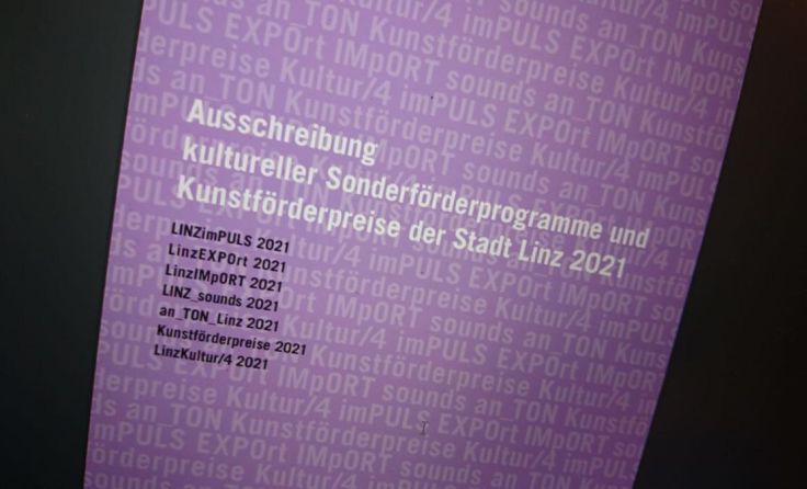 Broschüre Sonderförderprogramme/Kunstförderstipendien 2021 (Foto: Tips)