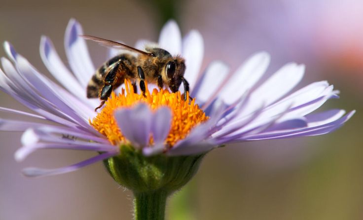  (Foto: Daniel Prudek/Shutterstock.com)
