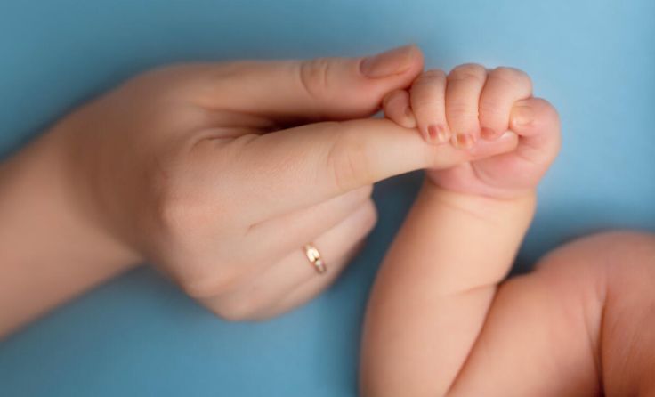  (Foto: Svetlana Satsiuk/Shutterstock.com)