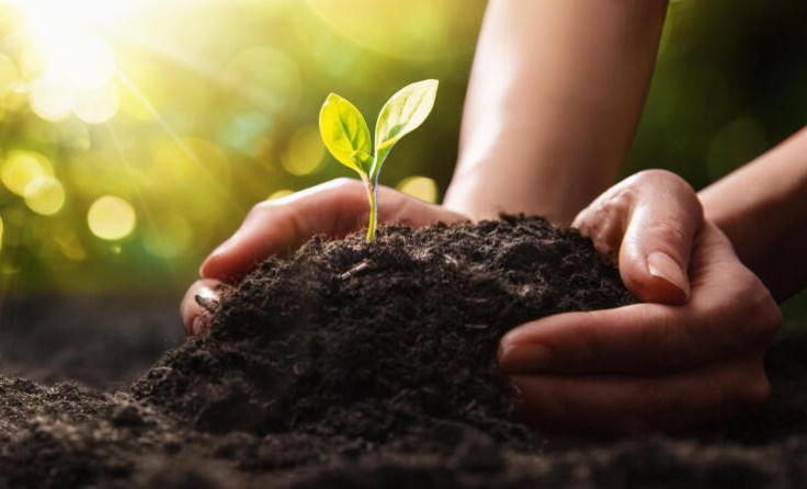 Ideen für den Klimaschutz sind gesucht. (Foto: Pasko Maksim/Shutterstock.com)