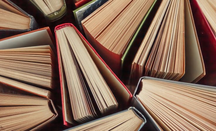 Zahlreiche Bücher warten auf die Leseratten. (Foto: Buzaeva Valeriia/Shutterstock.com)