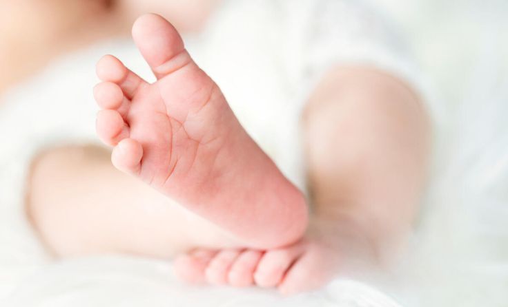  (Foto: fradis_photo/Shutterstock.com)