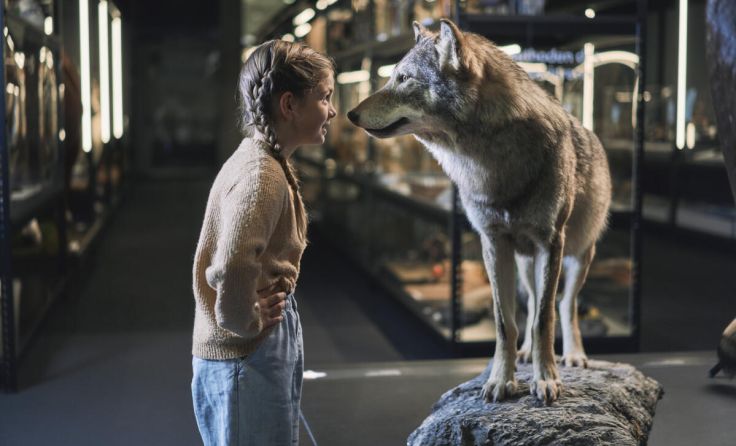 Ab ins Schlossmuseum (Foto: Robert Maybach)