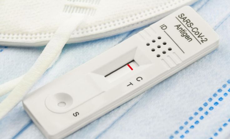 Antigen-Selbsttest (Foto: PhotoSGH/Shutterstock.com)
