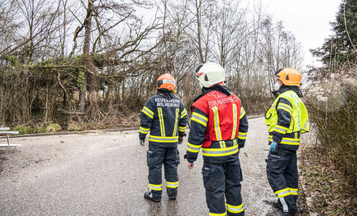  (Foto: TEAM FOTOKERSCHI / BAYER)