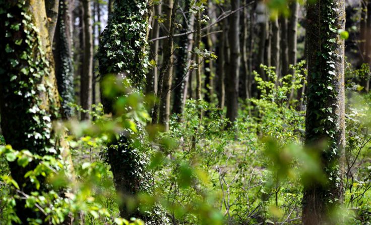  (Foto: Volker Weihbold)