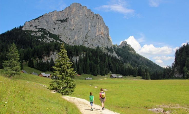 Wurzeralm (Foto: Harald Florian/stock.adobe.com)