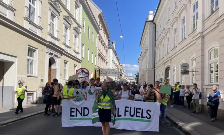(Foto: Fridays For Future Linz)