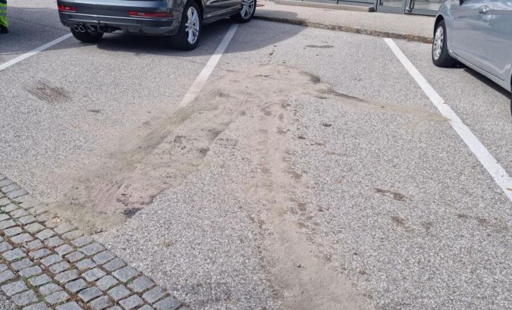 Mittels Ölbindemittel wurden das ausgelaufene Benzin gebunden. (Foto: ff-badischl.at)