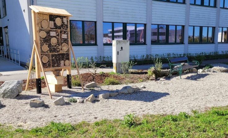 Neue Grünanlage Waidhoferstraße in Perg (Foto: Stadtgemeinde Perg)