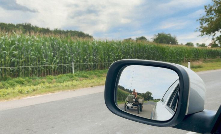 Szene aus der Doku "Busch im Bubenland" von Katrin Schlösser. (Foto: Polyfilm Verleih)