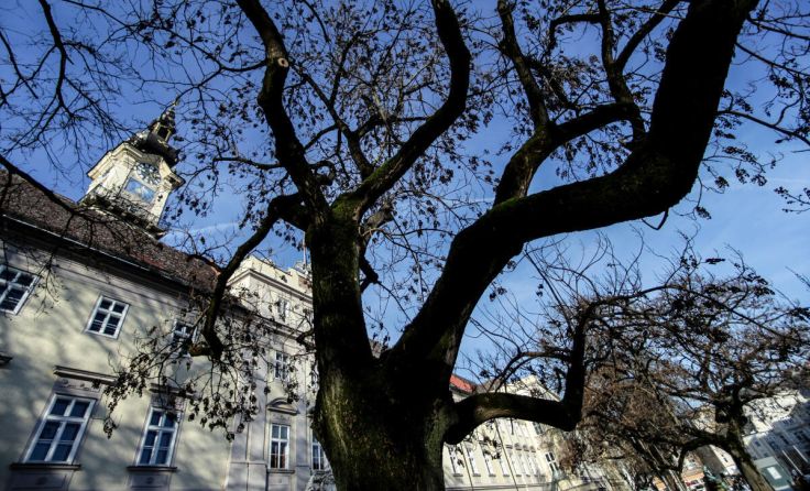  (Foto: Volker Weihbold)