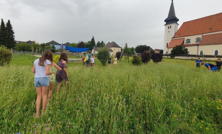Suche nach Insekten auf der neuen Blühwiese (Foto: GDAWal)