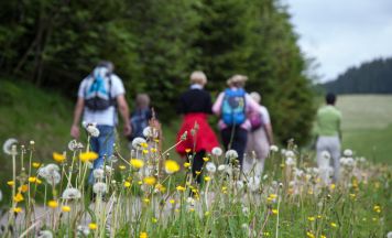 „Gesundes Oberösterreich“ auch 2026 mit Bewegungsschwerpunkt