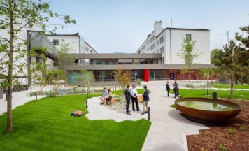 Fast elf Prozent mehr Neugründungen in Oberösterreich