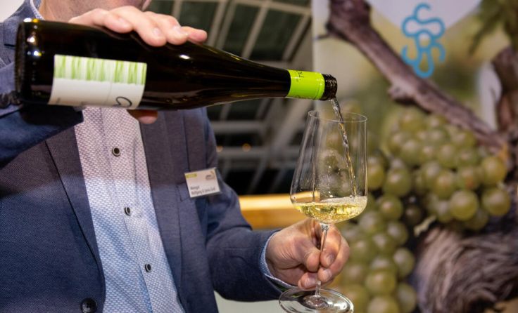 Auf zur Wein & Genuss ins Design Center Linz. (Foto: LWmedia/Juliana Tasler)