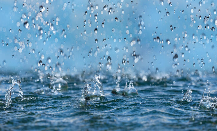  (Foto: Vera Kuttelvaserova/stock.adobe.com)