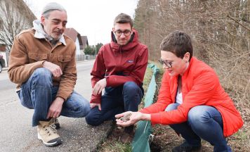 Naturkundliche Station errichtete Schutzzäune für Krötenwanderung