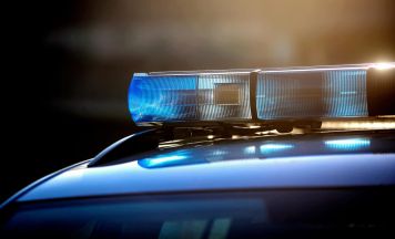 Rottweiler attackierte Kinder auf Linzer Spielplatz