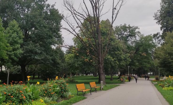 Volksgarten Linz (Archivfoto) (Foto: Tips)