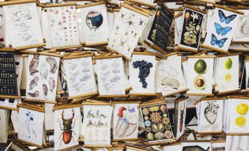 Der kunst & design markt kommt wieder nach Linz