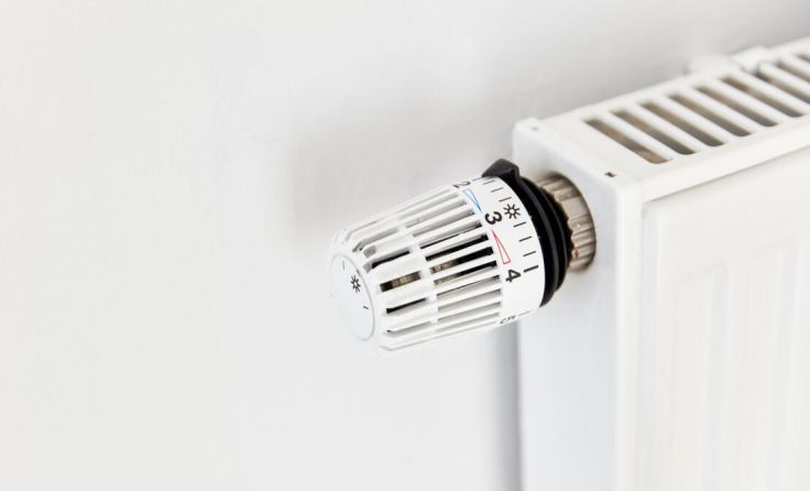 Temperaturregler mit Thermostat an weißer Heizung mit Heizkörper (Foto: Robert Kneschke)