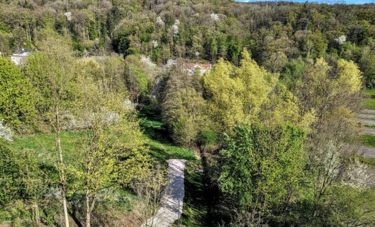 Areal zwischen JKU und Biologiezentrum. (Foto: BI Retten wir den Grüngürtel)
