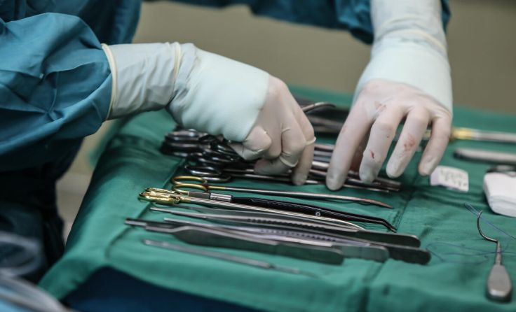  (Foto: VOLKER WEIHBOLD)