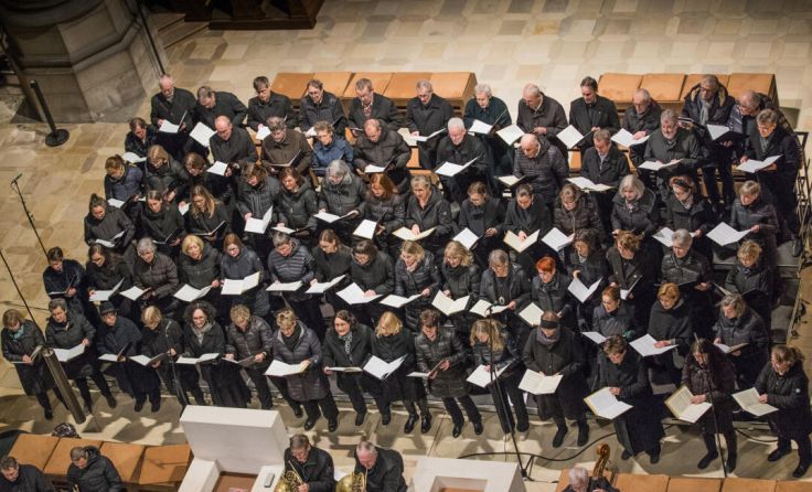 Collegium Vocale (Foto: Mariendom / Franz Wurzinger)