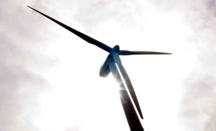  (Foto: Volker Weihbold)