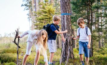 Kostenloses Seminar für Lehrkräfte bringt Abenteuer Wald in den Unterricht