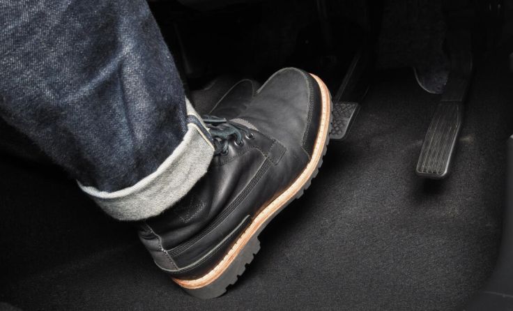  (Foto: gnepphoto/stock.adobe.com)