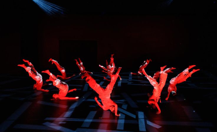 Die OÖ Tanzakademie ist in der Musiktheater BlackBox zu erleben. (Foto: Philip Brunnader)