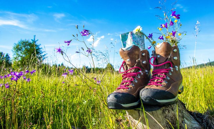  (Foto: bietau/stock.adobe.com)