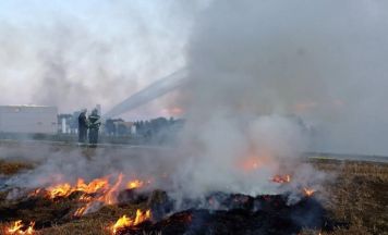 Feuerwehr Münzbach trainierte Bekämpfung von Vegetationsbränden