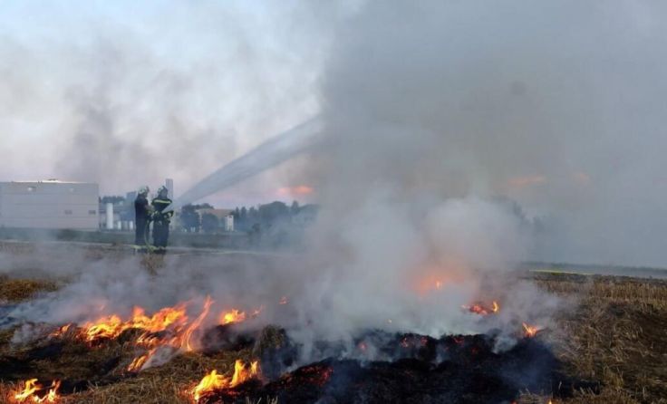 Die Bekämpfung von Vegetationsbränden wurde geübt. (Foto: FF Münzbach)