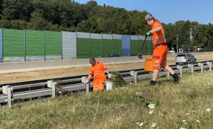 Rund ein Viertel des Müllaufkommens muss händisch eingesammelt werden. (Foto: ASFINAG)