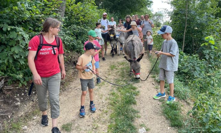 Entdeckungsreise im Naturpark mit Eseln. (Foto: Sabrina Schindler)